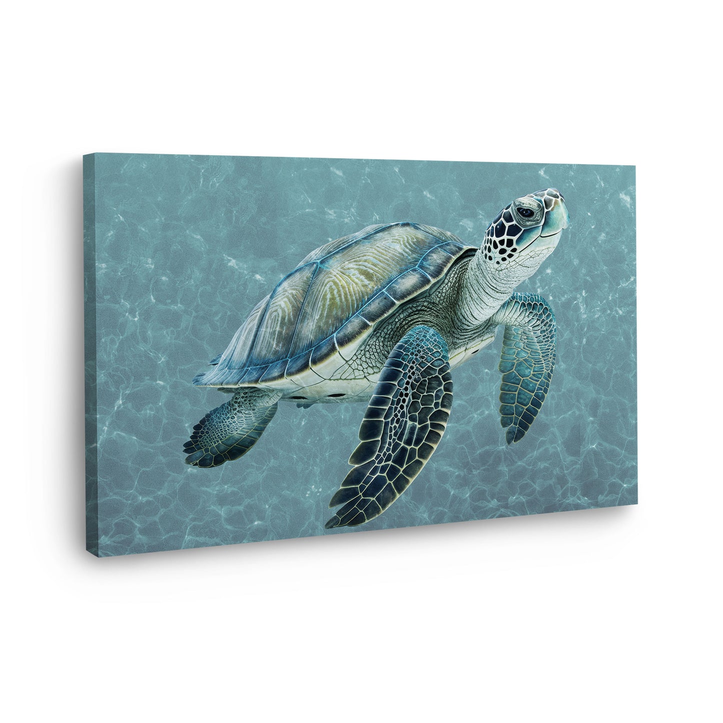 Meeresschildkröte Blue Style Wandbild Kunstwerk