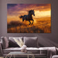 Pferd in der Steppe Abendstimmung Natur modern Wandbild Kunstwerk
