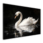 Wandbild Kunstwerk weißer Schwan auf dem Wasser Spiegelbild Naturstil modern