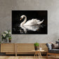 Wandbild Kunstwerk weißer Schwan auf dem Wasser Spiegelbild Naturstil modern