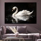 Wandbild Kunstwerk weißer Schwan auf dem Wasser Spiegelbild Naturstil modern