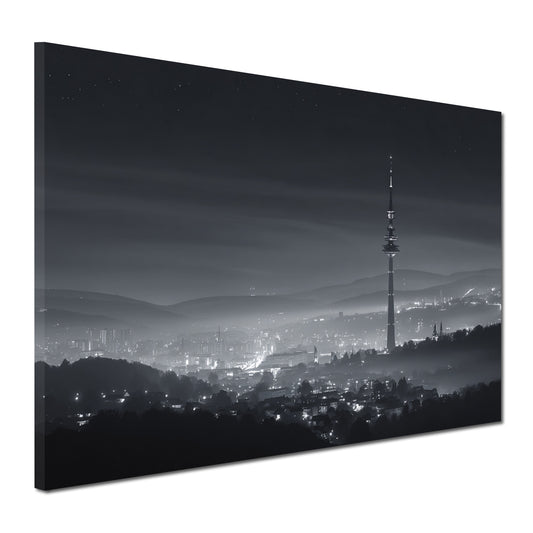 Fernsehturm Stuttgart Hügelblick Nachtstimmung schwarz weiß Wandbild