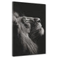 Löwe Schwarz Weiß Porträt Stärke Wandbild